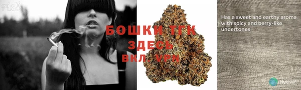 первитин Белоозёрский